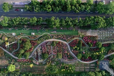 【天津花艺培训课程哪家好】