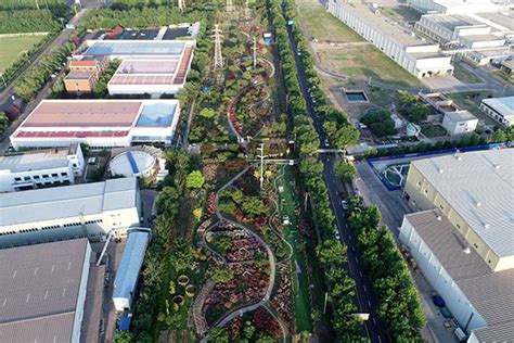 【天津插花学习培训班多少钱】