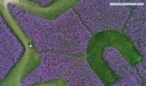 【天津插花培训机构费用多少】