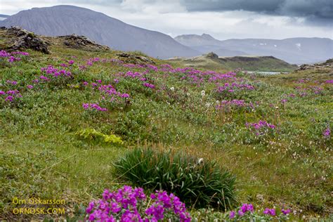 河东区美容报班费用