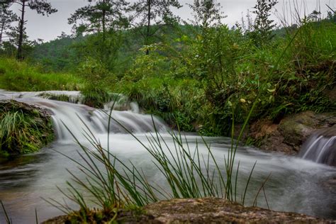 河东区美容班学费需要多少