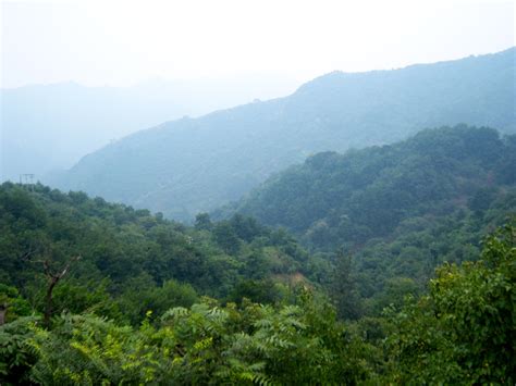 【天津插花培训哪家好】