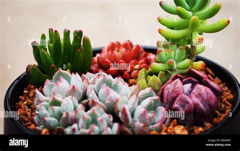 太原研究生毕业前景好吗