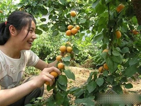 西青区会计实务培训