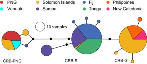 天津犀牛学习网