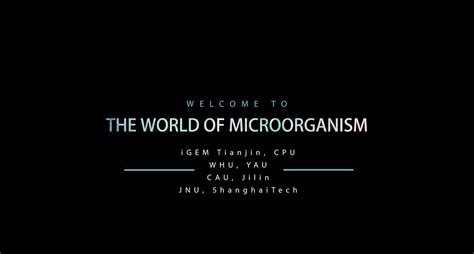 天津当众说话辅导班哪里比较好