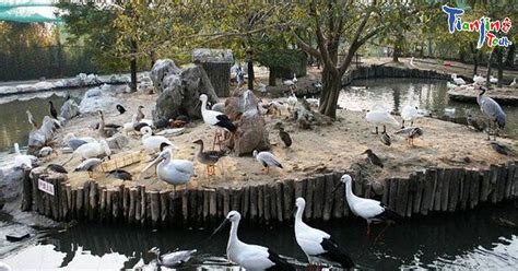 天津演讲学习哪里好