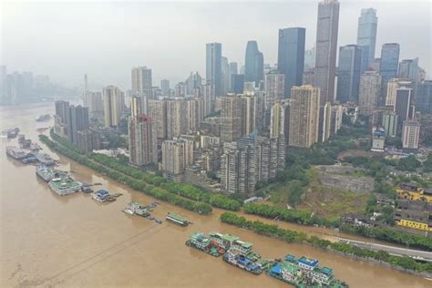 重庆外国语学校国际部A-Level课程