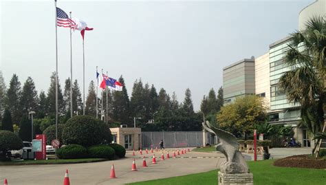 上海美国学校小学中英双语课程