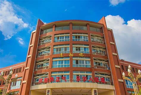 绵阳东辰国际学校高中A-Level课程