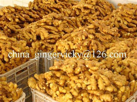 青岛仁和会计—实操类课程-核算会计班