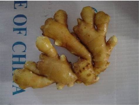 青岛仁和会计—管理类课程-主管会计班