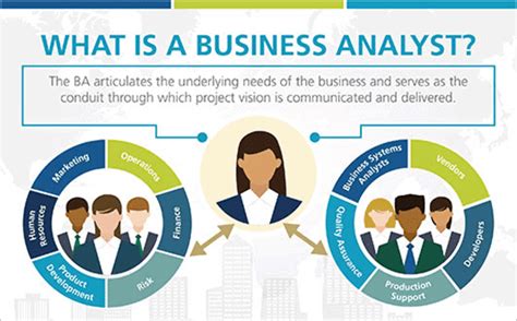 高级软件需求分析师