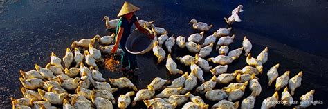 北京大学标杆房地产全流程精细化管理高级研修班