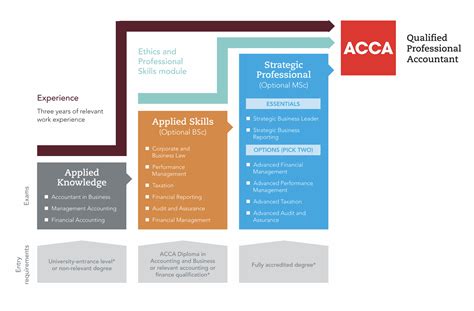 ACCA直播课程（P阶段）