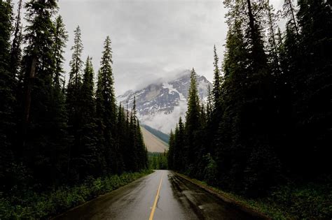 加拿大阿尔伯塔1+3.5/2+3直通班项目