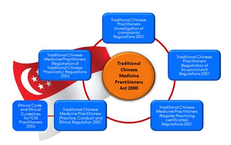 医学教育网中西医执业医师“实验班”