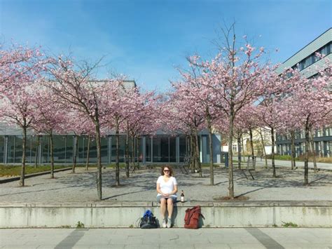 华岳留学—英国中小学本科研究生留学