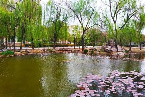 河南师范大学2017年春季自考招生简章（专升本）