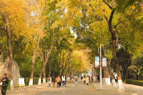 河南师范大学2017年春季自考招生简章（高起本）