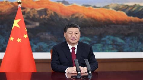 西安七田真—小学课程