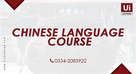 西安七田真—中文课程