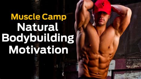 费恩莱斯健美训练营