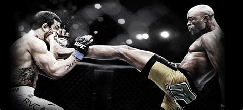 费恩莱斯MMA综合格斗