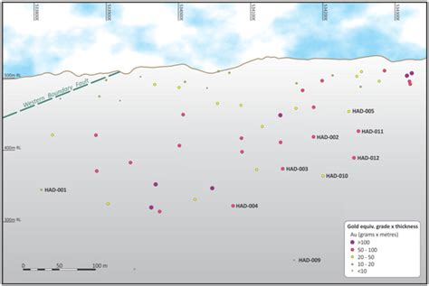 中公会计会计实操—金领计划班