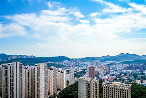 大连啄木鸟美国本科留学精英计划