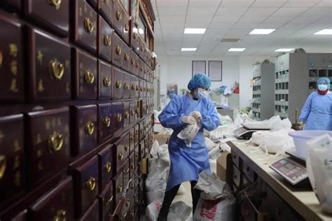 金英杰—中药、西药医师直播班