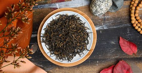 金英杰—乡村医师直播班