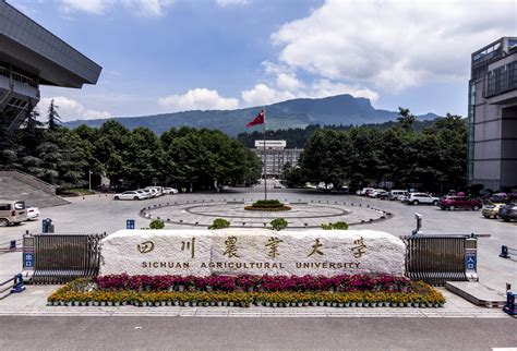 四川农业大学【专升本】【班】