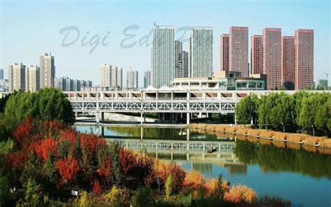 沈阳啄木鸟美国本科留学精英计划