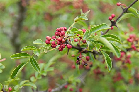 四川环球优路优路教育—执业药师考前辅导