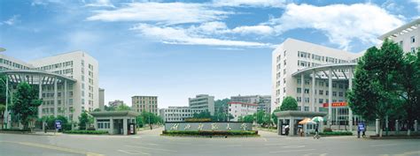湖北优路教育—临床执业医师考试（含助理）辅导课程