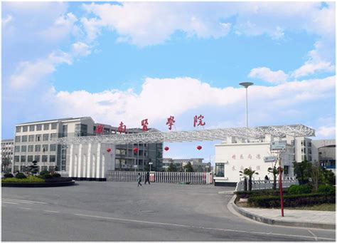 安徽优路教育—临床执业医师考试（含助理）辅导课程