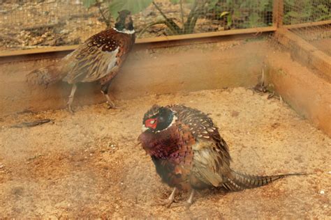 海口优路教育—执业药师考前辅导