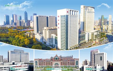 同济大学美加英澳新国际本科留学直通车项目