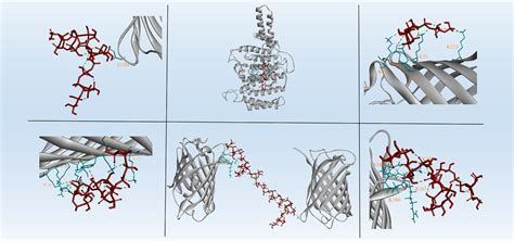 南京仁和会计—实操类课程-精算实战班