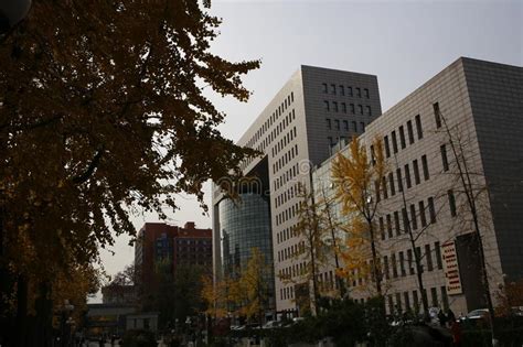 北京语言大学澳大利亚西澳大学直升班2021年招生简章