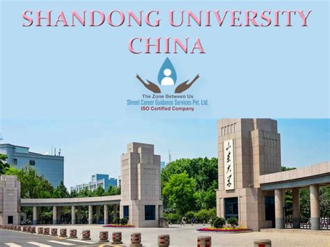 山东大学3+2国际本硕课程2021年招生简章