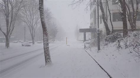 青岛科技大学韩国全南国立大学本科保录项目2021年招生简章