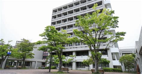 北外一神户亲和女子大学本科直录