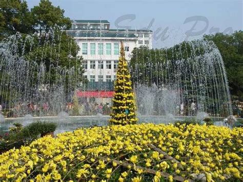 华中师范大学IFC国际本科预科招生简章