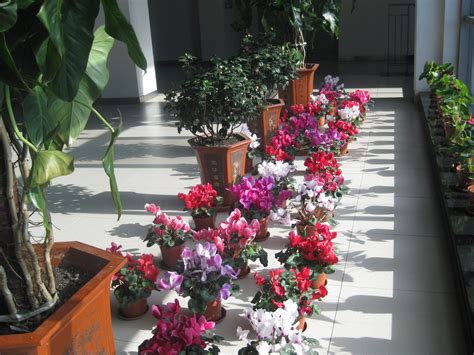 哈尔滨工业大学美国本科留学预科2021年招生简章