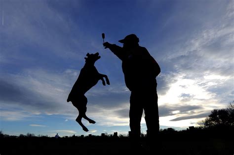 消防工程师招生简章