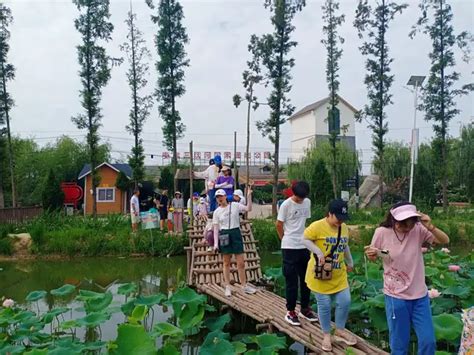 蚌埠优路教育—中级经济师招生简章