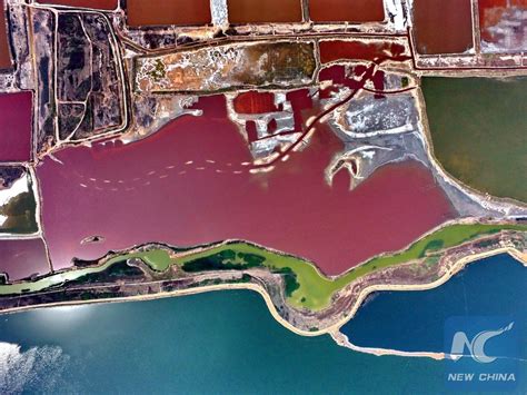 运城优路教育—全国教师资格证考试笔试【面授+网络】招生简章