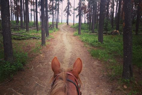 加拿大留学打工的三种方式 总有一个适合你